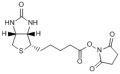 TCI-D-生物素 N-羟基琥珀酰亚胺酯,97.0%(LC&N)