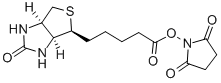 Alfa：(+)-生物素 N-琥珀酰亚胺酯, 98%