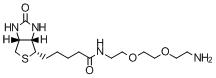 TCI-生物素-PEG<sub>2</sub>-胺