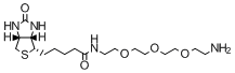 TCI-生物素-PEG<sub>3</sub>-胺