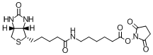 TCI-N-琥珀酰亚氨基6-生物素氨己酸,97.0%(LC)